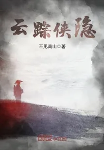 《云踪侠隐》小说封面