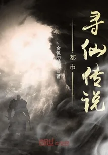 《都市寻仙传说》小说封面