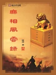 《无相风云录》小说封面