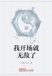 《我开场就无敌了》小说封面