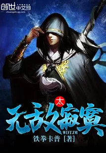 《无敌太寂寞》小说封面