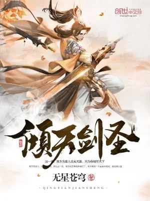 《倾天剑圣》小说封面