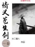 《情义苍生剑》小说封面