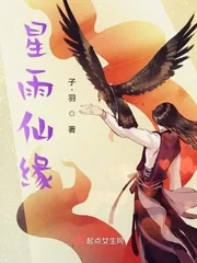《星雨仙缘》小说封面