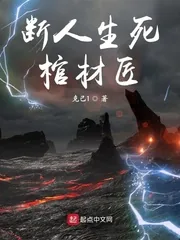 《断人生死棺材匠》小说封面