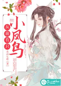 《从前有只小凤鸟》小说封面