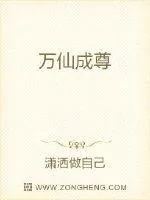 《万仙成尊》小说封面