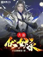 《大宣伏妖录》小说封面