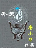 《补天鼎》小说封面