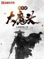 《我不是大魔头》小说封面