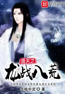 《武侠之龙战八荒》小说封面