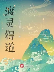 《渡灵得道》小说封面