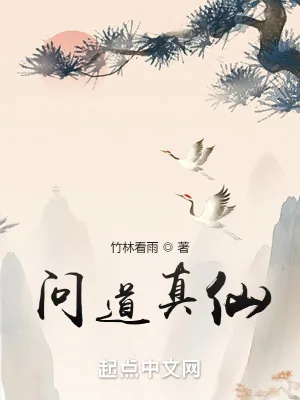 《问道真仙》小说封面