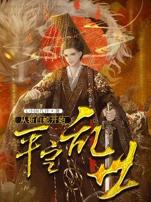 《从斩白蛇开始平定乱世》小说封面