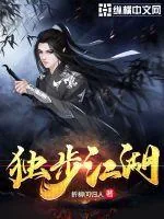 《独步江湖》小说封面