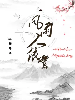 《风雨人依旧》小说封面
