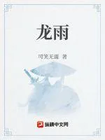 《龙雨》小说封面