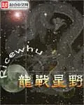 《龙战星野》小说封面