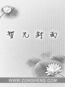 《莫须有》小说封面