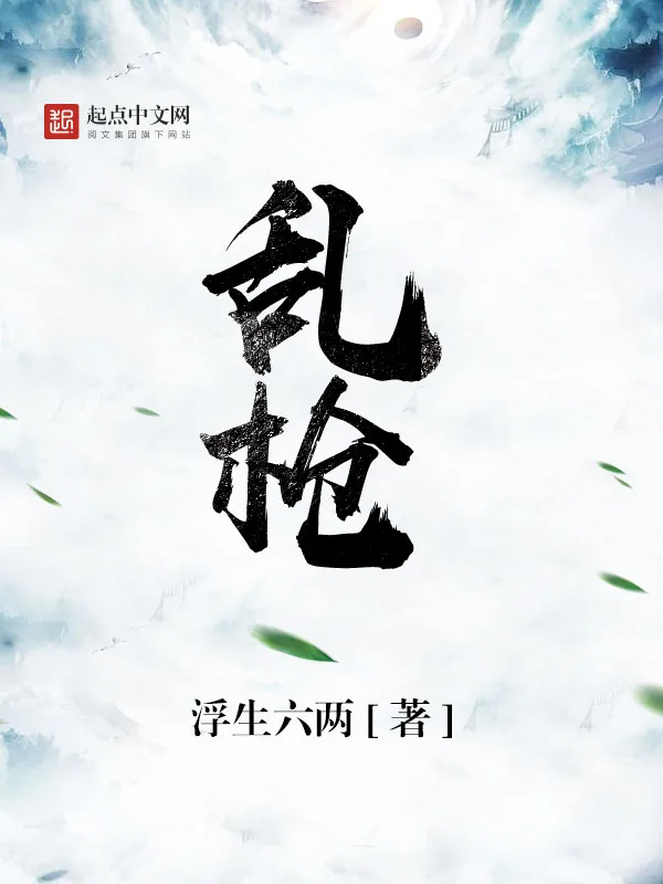 《乱枪》小说封面