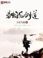 《独孤剑道》小说封面
