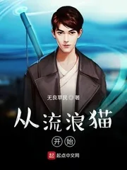 《从流浪猫开始》小说封面