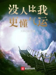 《没人比我更懂气运》小说封面