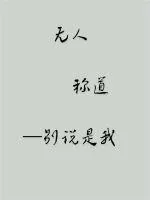 《无人称道》小说封面
