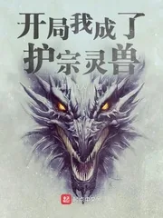《开局我成了护宗灵兽》小说封面