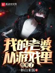 《我的老婆从游戏里出来了》小说封面