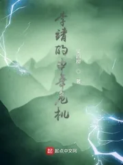 《李靖的中年危机》小说封面