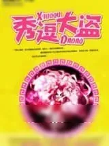 《秀逗大盗》小说封面