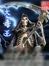 《大毒王》小说封面