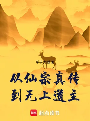 《从仙宗真传到无上道主》小说封面