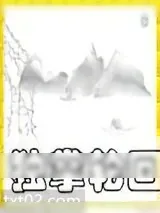 《独掌轮回》小说封面