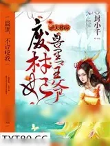 《雍华谱记》小说封面