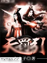 《天罚引》小说封面