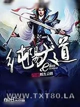 《纯阳大道》小说封面