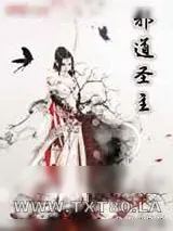 《邪道圣主》小说封面
