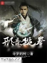《形意杀拳》小说封面