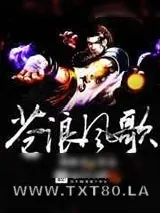《苍浪风歌》小说封面
