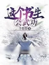 《这个书生会武功》小说封面