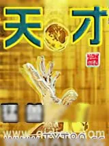 《天才》小说封面