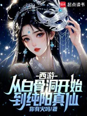 《西游：从白骨洞开始到纯阳真仙》小说封面