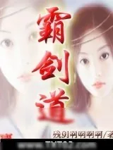 《霸剑道》小说封面