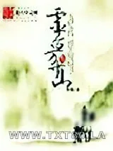 《灵台方寸山》小说封面