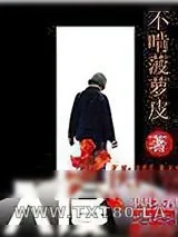 《入侵武侠世界》小说封面