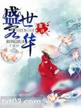 《盛世容华》小说封面