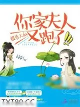 《报告上仙：你家夫人又跑了》小说封面