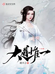 《大道惟一》小说封面
